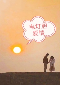 电灯胆歌曲演唱