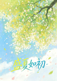 盛夏如风来免费阅读