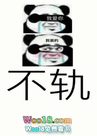 不轨的含义解析